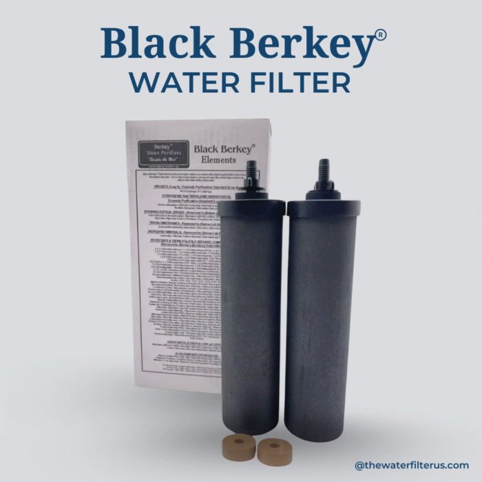 Black Berkey® Replacement Water Filters (Set of 2)
