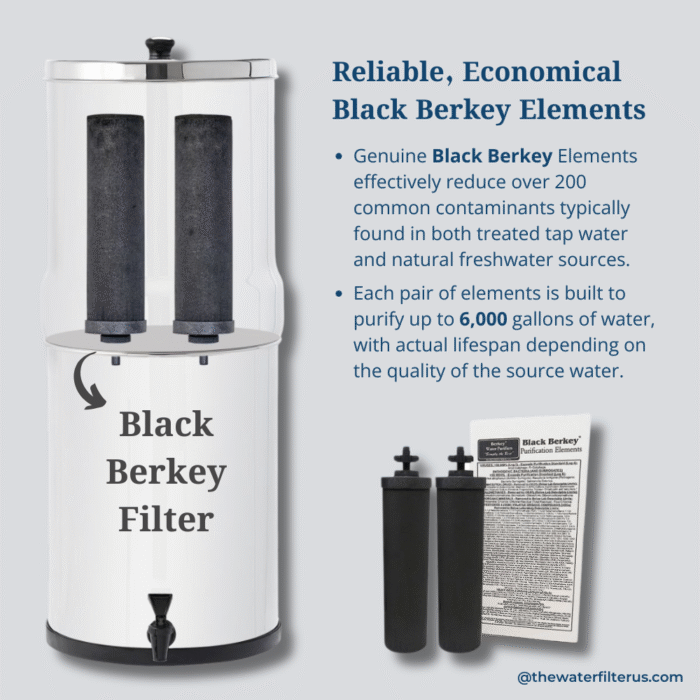 Black Berkey® Replacement Water Filters (Set of 2) - Image 4