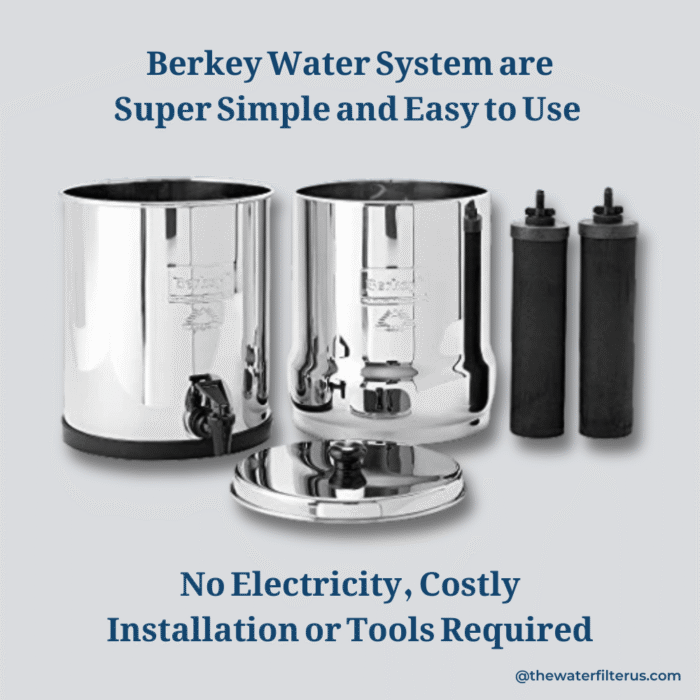 Black Berkey® Replacement Water Filters (Set of 2) - Image 5