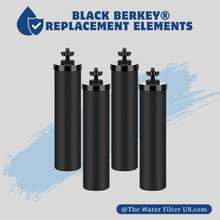 Black Berkey® Replacement Water Filters (4-Pack Bundle)