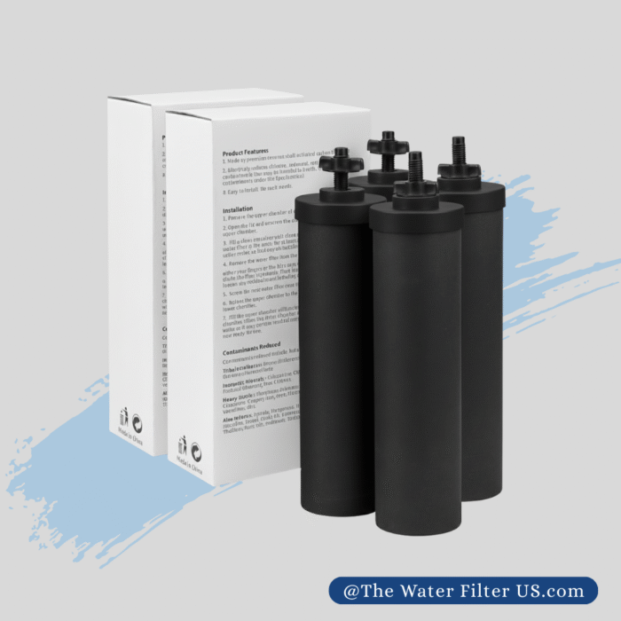 Black Berkey® Replacement Water Filters (4-Pack Bundle) - Image 2